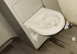 Polonaise gros cul dans les toilettes
